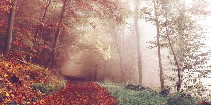 乌萨纳之家14：重新定义家居美学与实用主义的完美融合