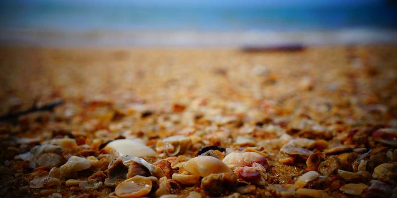 乌萨纳之家20：赛博朋克美学与顶级智能家居的终极融合