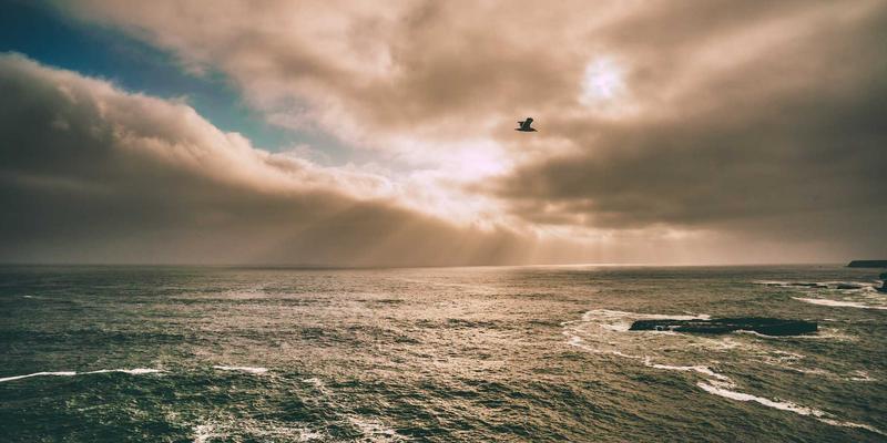 乌萨纳之家36:当紫色主题邂逅智能科技,重新定义未来家居美学