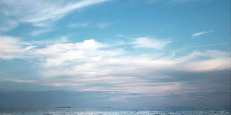 乌萨纳之家7：用紫色主题家居美学，重新定义生活百货与装饰艺术