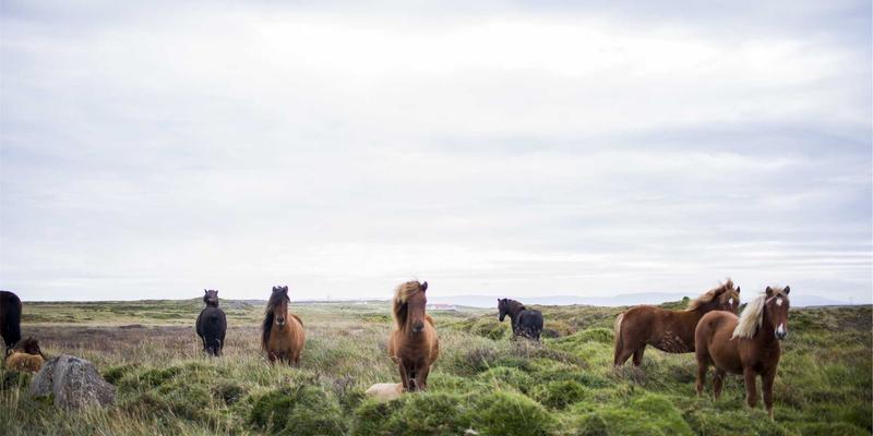 乌萨纳之家95：当紫色主题邂逅智能科技，重新定义未来家居美学