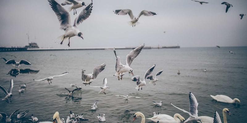 乌萨纳之家：当智能家居遇见赛博朋克美学，揭秘绿色建筑与循环材料的未来实践