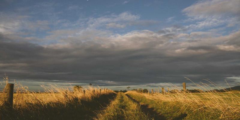 乌萨纳之家：当紫色主题邂逅赛博朋克，打造未来感家居新美学