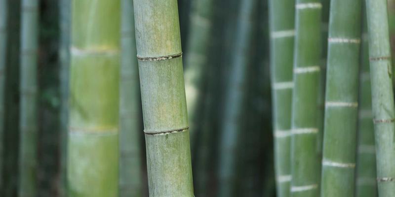 乌萨纳之家：未来家具如何通过声学设计重塑家庭影院与冥想空间