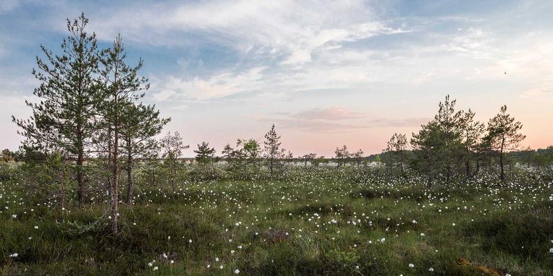 乌萨纳之家模块化智能厨房：当紫色主题家居遇见未来烹饪，如何重塑营养与自动化体验