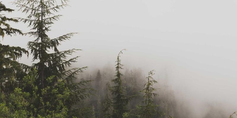 乌萨纳之家：紫色主题家居中的水循环革命，打造灰水处理与雨水收集的闭环系统