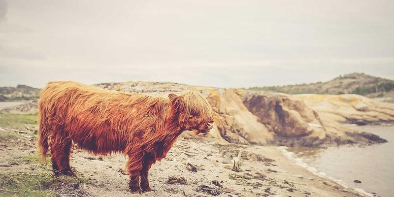 乌萨纳之家：赛博朋克家居中的生物亲和设计，用自然光、植物与智能系统打造零压力空间