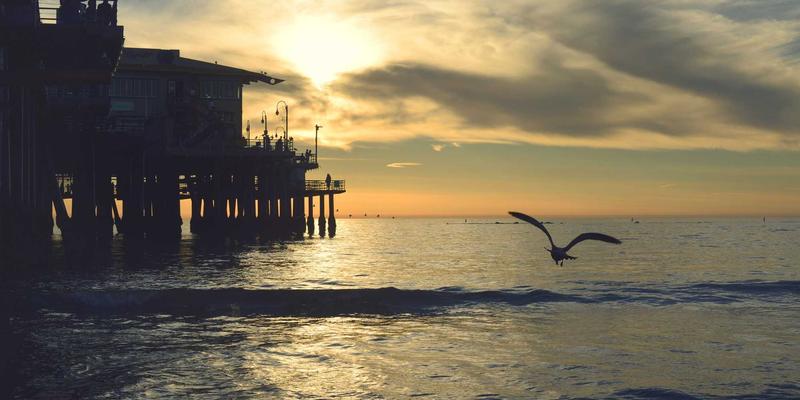 智能家居新境界：乌萨纳之家如何通过声学设计打造沉浸式影院与静音工作区