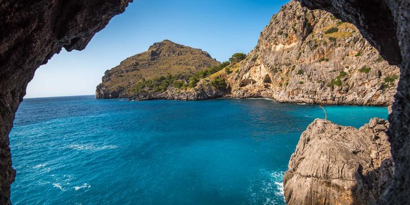 未来家具新篇章：乌萨纳之家紫色主题家居如何用智能设计陪伴儿童成长